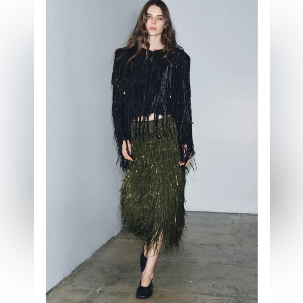Zara LIMITED EDITION FRINGED SEQUIN ZW COLLECTION SKIRT - Picture 7 of 14